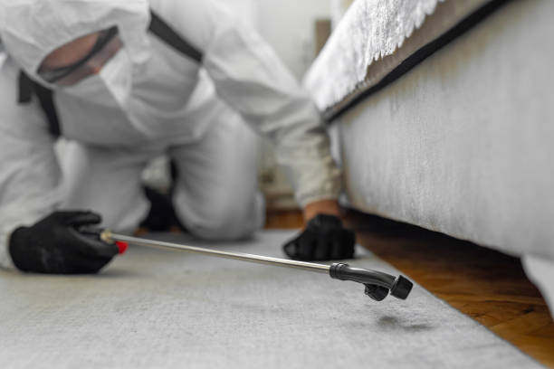 Professional Bed Bug Control technician working in Kent County County, RI